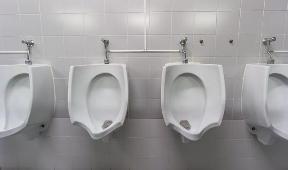 Wide angle view of public toilet, front view
