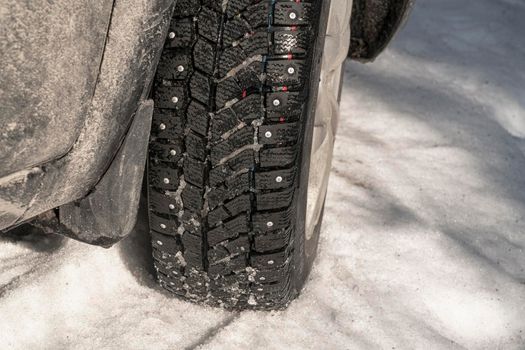 a car wheel with spikes in the snow. High quality photo