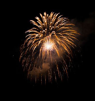 beautiful fireworks in black sky. High quality photo