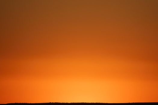 Long shot of Beautiful orange sunset sky. Sky Background with plan skyline with trees