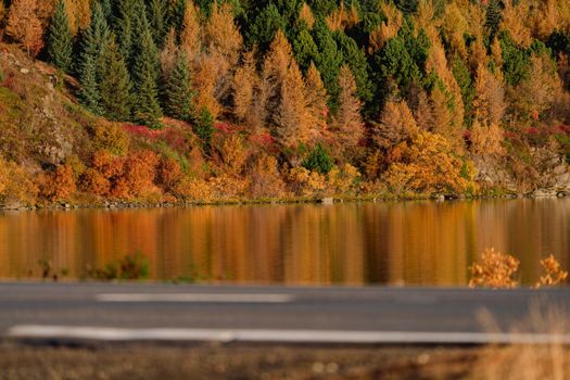 Autumn near the lake with blurred empty road in the foreground