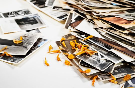 Pile of old black and white photos and yellow dried petals , romantic activity , moment dedicated to memories