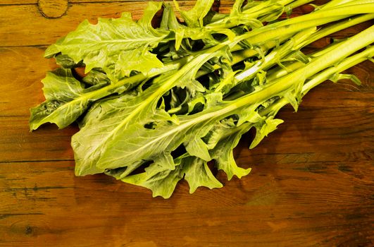 Fresh green leaves of chicory  on  wooden table , long leaves of chicory catalogna
