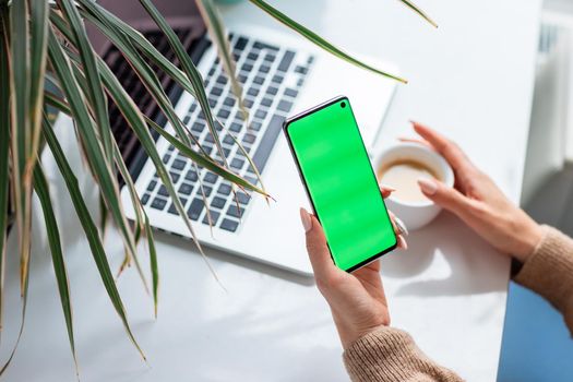 Young woman's hands scrolling and checking her phone and drinking coffee. Focus on the mobile phonechromakey, green screen on screen.