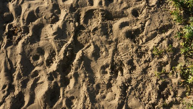 Stripes of fine sea sand on the coast. Natural background from the sand of the sea