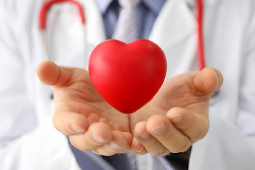 Doctor cardiologist holds small red heart. Diseases of cardiovascular system concept