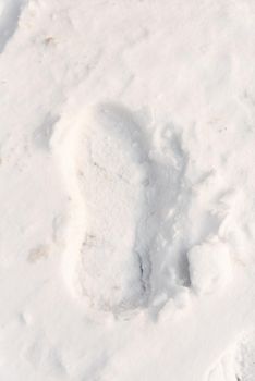 footprints on the snow under sunlight close-up.