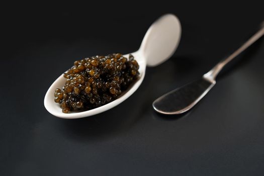 Natural black caviar in a white serving porcelain spoon on a dark background. Selective focus. Minimalistic photo. Daylight. Copy space