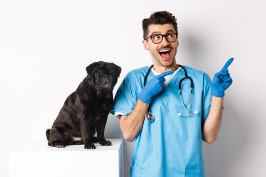 Handsome young doctor at vet clinic pointing fingers upper right corner and looking amazed, standing near cute black pug dog, white background.