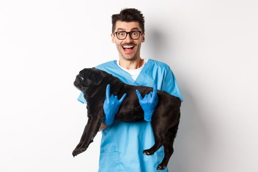 Vet clinic concept. Happy male doctor veterinarian holding cute black pug dog, smiling at camera, showing rock-n-roll gesture, white background.