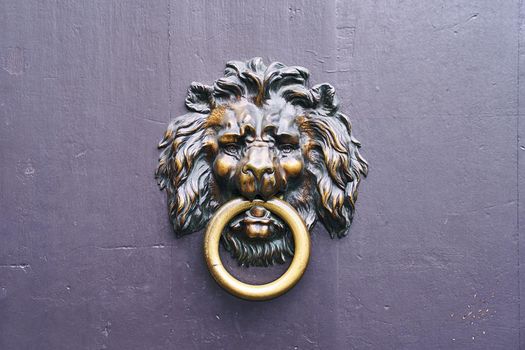 Vintage curly bronze lion head on old wooden door