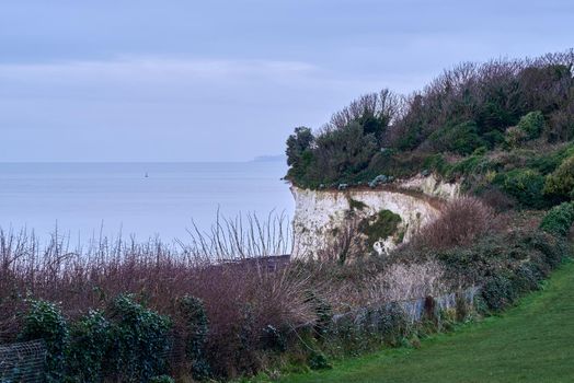 White cliffs looking over the sea with bushes on the cliff edge
