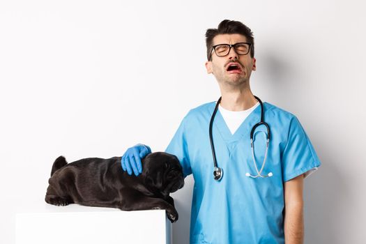 Sad male doctor filling pity for cute black dog pug lying sick on vet clinic table, veterinarian crying and petting puppy, white background.