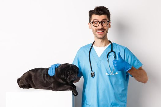 Happy male doctor veterinarian examining cute black dog pug, showing thumb up in approval, satisfied with animal health, standing over white background.