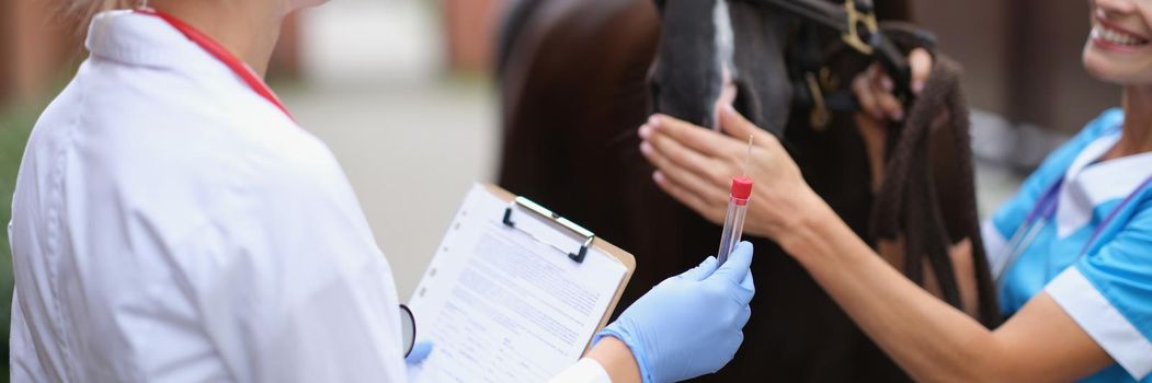 Two veterinarians examine horse and take biological sample. Horses undergoing medical tests concept
