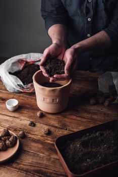 Man Putting Potting Soil into Terracotta Pot for Sowing Thyme Seeds