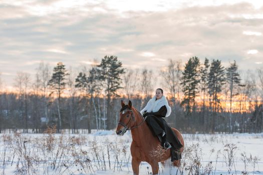 A girl in a white cloak rides a brown horse in winter. Golden hour, setting sun.