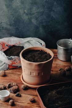 Terracotta Pot with Potting Soil and Sowed Herbs Seeds