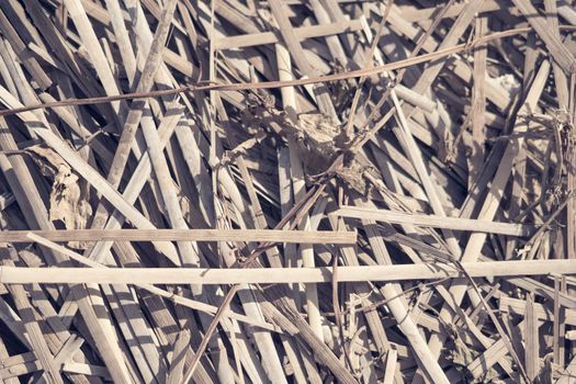 Real nature abstract background. Bamboo dry straws weaving texture mat, light gray yellow brown beige colour vintage effect. Calm warm simple life style mood, minimalism, design wallpaper backdrop.