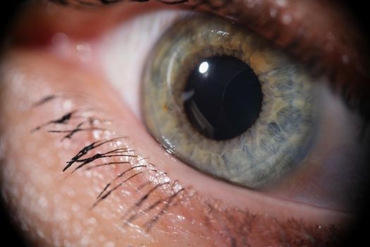 Close-up of green woman eye with mascara on eyelashes, macro shot of female eye looking away, natural beauty. Ophthalmology, oculist, beauty, optic concept