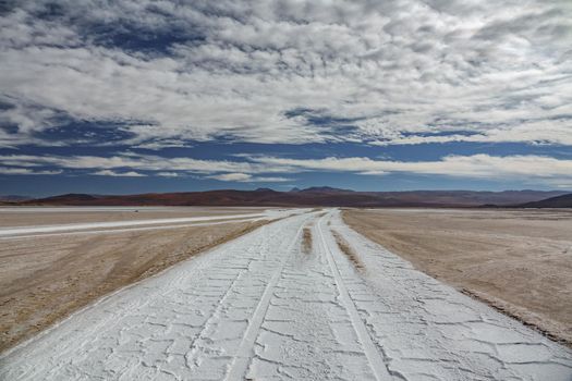 Wide angle of huge salar with vehicle wheel marks in Atacama