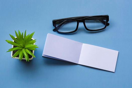 Notepad with reading glasses and potted plant. Directly above. Flat lay, Message and reminder concept.