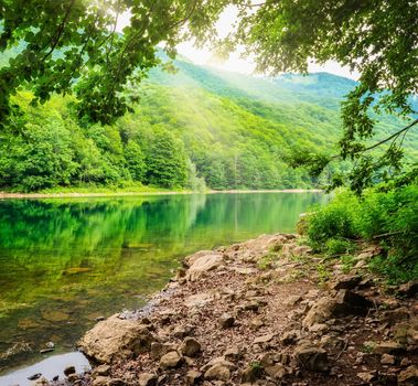 Biogradsko lake in the national park Biogradska Gora Montenegro