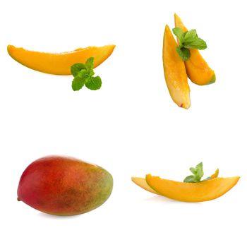 Set of mango fruit on white reflective background.