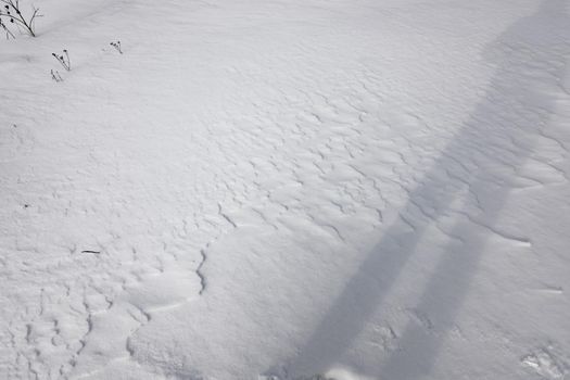 The shadow of a man in the snow. Black and white photography. Winter theme.