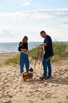 Young happy couple and dog walking along beach. Woman playing with pet by toy. Man holding Corgi puppy on leash. Summer walk in nature of people in love on weekend. Full length peoples