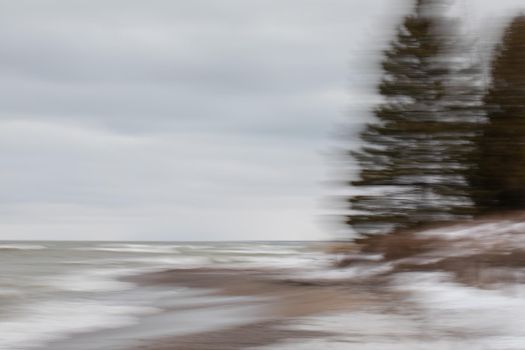 Intentional camera motion photo of trees on a beach. Near Southampton, Ontario, Canada