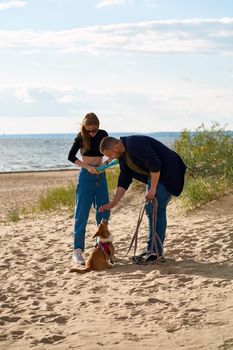 Young happy couple and dog walking along beach. Beautiful woman and man playing with pet by toy. Male holding Corgi puppy on leash. Summer walk in nature of people. Full length peoples