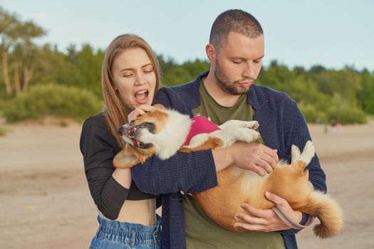 Young happy couple of man and woman with corgi dog stay on beach. Beautiful female biting ears of puppy, people fool around, funny moment