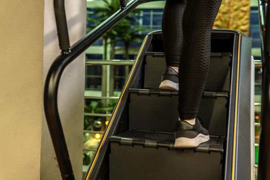 Fitness walks on the simulator stairs ladder simulator muscle people, in the afternoon physical sexy for trainer training lifting, attractive doing. Foot young workout, fit