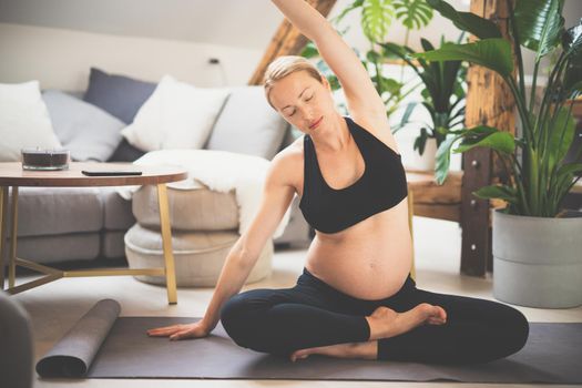 Young beautiful pregnant woman training yoga at home in her living room. Motherhood, pregnancy, healthy lifestyle and yoga concept.