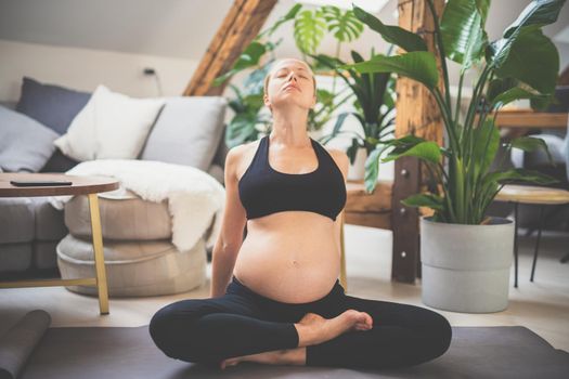 Young beautiful pregnant woman training yoga at home in her living room. Motherhood, pregnancy, healthy lifestyle and yoga concept.