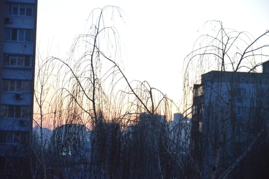 Residential new buildings at daybreak in a the city