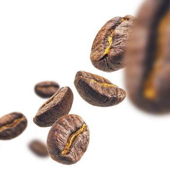 Coffee beans levitate on a white background.