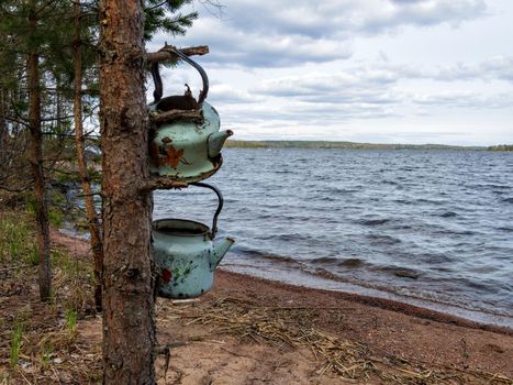 Two old teapots on the background of a calm lake. Two teapots are hanging on a tree in the forest
