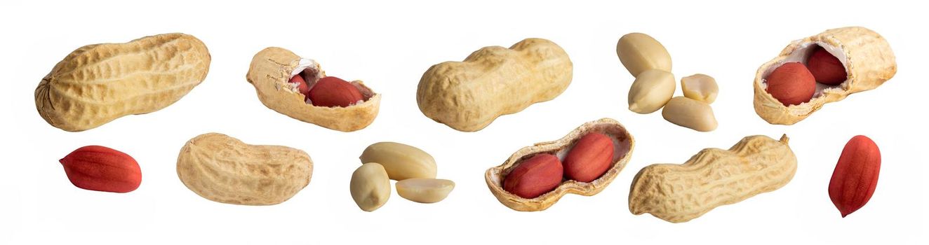 set of peanuts in a nutshell, unpeeled and shelled peanuts isolated on white background. photo