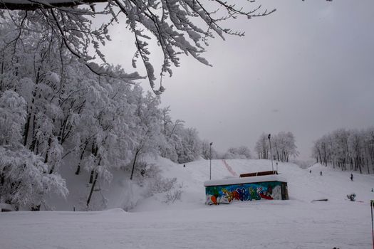 snowy landscape with trees in Schia Monte Caio Tizzano Parma. High quality photo