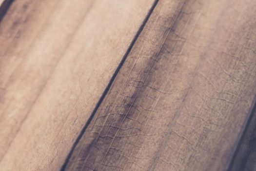 Macro shot Abstract Real beauty nature background. Dried tropical plant leaf surface texture structure detail diagonal vein line streak stripe Simple design matte vintage dark light brown beige shade