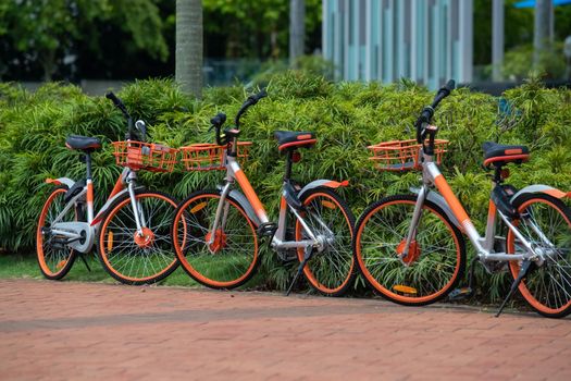 Several bicycles for free use stand on the street in Singapore, bicycles with tubeless wheels with baskets in front green vegetation in the background, care for the environment. High quality photo