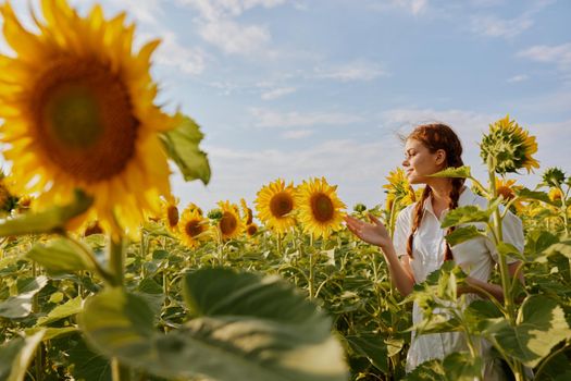 woman with two pigtails in a field of sunflowers unaltered. High quality photo