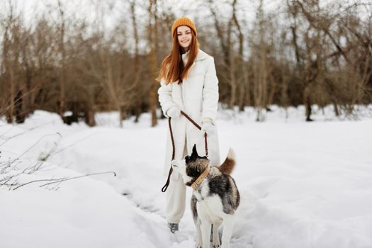 beautiful dog on a leash winter landscape walk friendship Lifestyle. High quality photo