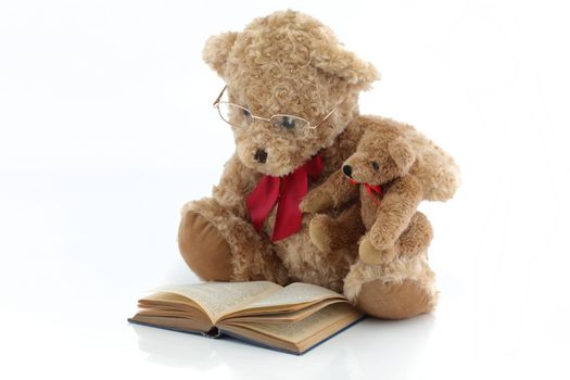 Parent and child teddy bears reading a book parenting concept