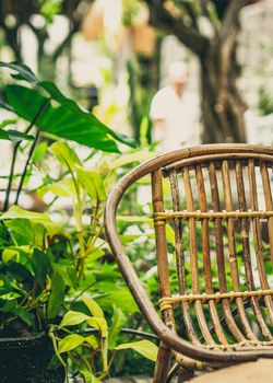 VERTICAL Cozy garden open air tropical style terrace wood chair rattan wicker eco furniture. Warm mood summer nature day. Modern decor interior atmosphere relax outdoor recreation dining area cafe.