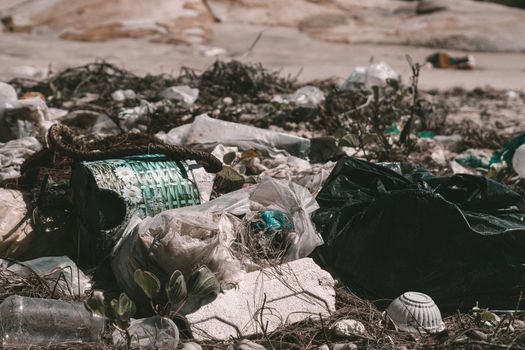 Real nature life climate crisis, land near forest park pollution. Dirty ground, throwing outdoor plastic litter waste, need environmental protection. Problem of garbage caused by man made.