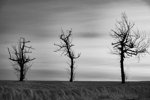 The main Christian holiday is Easter, the resurrection of the Lord Jesus Christ. Photos of three leafless trees with a dramatic sky at the top of Wasserkuppe Mountain in Hesse Germany resemble three crosses on Mount Calvary in Jerusalem Israel. High quality photo