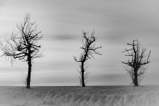 The main Christian holiday is Easter, the resurrection of the Lord Jesus Christ. Photos of three leafless trees with a dramatic sky at the top of Wasserkuppe Mountain in Hesse Germany resemble three crosses on Mount Calvary in Jerusalem Israel. High quality photo